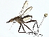 ( - BIOUG95301-D06)  @11 [ ] CreativeCommons - Attribution (2022) CBG Photography Group Centre for Biodiversity Genomics