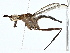  ( - BIOUG95301-D08)  @11 [ ] CreativeCommons - Attribution (2022) CBG Photography Group Centre for Biodiversity Genomics