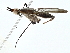  ( - BIOUG95314-E06)  @11 [ ] CreativeCommons - Attribution (2022) CBG Photography Group Centre for Biodiversity Genomics