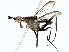  ( - BIOUG95314-E07)  @11 [ ] CreativeCommons - Attribution (2022) CBG Photography Group Centre for Biodiversity Genomics