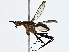  ( - BIOUG95333-G04)  @11 [ ] CreativeCommons - Attribution (2022) CBG Photography Group Centre for Biodiversity Genomics
