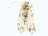  ( - BIOUG95335-F05)  @11 [ ] CreativeCommons - Attribution (2022) CBG Photography Group Centre for Biodiversity Genomics