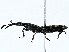  ( - BIOUG95335-G11)  @11 [ ] CreativeCommons - Attribution (2022) CBG Photography Group Centre for Biodiversity Genomics