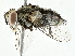  ( - BIOUG95336-A02)  @11 [ ] CreativeCommons - Attribution (2022) CBG Photography Group Centre for Biodiversity Genomics