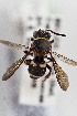  ( - CCDB-30386 C02)  @11 [ ] CreativeCommons - Attribution (2017) Laurence Packer York University