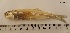  ( - StIn4-IBRC)  @11 [ ] CreativeCommons - Attribution Non-Commercial Share-Alike (2016) Mahboobeh Afrand Iranian Biological resource center