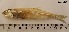  ( - StIn5- IBRC)  @11 [ ] CreativeCommons - Attribution Non-Commercial Share-Alike (2016) Mahboobeh Afrand Iranian Biological resource center