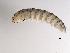  ( - 09PROBE-01327)  @13 [ ] CreativeCommons - Attribution (2009) Unspecified Centre for Biodiversity Genomics