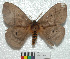  ( - MHNC-ELH-BAR 0071)  @11 [ ] CreativeCommons - Attribution Non-Commercial (2012) Arturo Munos Saravia Museo de Historia Natural Alcide d'Orbigny