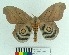  ( - MHNC-ELH-BAR 0122)  @13 [ ] CreativeCommons - Attribution Non-Commercial (2012) Arturo Munos Saravia Museo de Historia Natural Alcide d'Orbigny