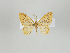  ( - Eo00489)  @14 [ ] Copyright (2008) Gunnar Brehm none