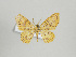  ( - Eo00492)  @14 [ ] Copyright (2008) Gunnar Brehm none