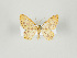  ( - Eo00517)  @14 [ ] Copyright (2008) Gunnar Brehm none