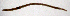 ( - RS2113)  @11 [ ] by-nc-sa (2024) R.M.Schmelz n/a