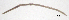  ( - RS2114)  @11 [ ] by-nc-sa (2024) R.M.Schmelz n/a