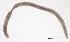  ( - RS2150)  @11 [ ] by-nc-sa (2024) R.M.Schmelz n/a
