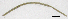  ( - RS2151)  @11 [ ] by-nc-sa (2024) R.M.Schmelz n/a