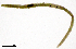  ( - RS2152)  @11 [ ] by-nc-sa (2024) R.M.Schmelz n/a
