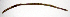  ( - RS2186)  @11 [ ] by-nc-sa (2024) R.M.Schmelz n/a