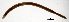  ( - RS2187)  @11 [ ] by-nc-sa (2024) R.M.Schmelz n/a