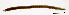  ( - RS2195)  @11 [ ] by-nc-sa (2024) R.M.Schmelz n/a
