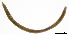  ( - RS2197)  @11 [ ] by-nc-sa (2024) R.M.Schmelz n/a