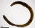  ( - RS2205)  @11 [ ] by-nc-sa (2024) R.M.Schmelz n/a