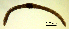  ( - RS2208)  @11 [ ] by-nc-sa (2024) R.M.Schmelz n/a