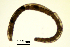  ( - RS2214)  @11 [ ] by-nc-sa (2024) R.M.Schmelz n/a