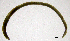  ( - RS2217)  @11 [ ] by-nc-sa (2024) R.M.Schmelz n/a