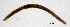  ( - RS2269)  @11 [ ] by-nc-sa (2024) R.M.Schmelz n/a