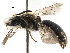  ( - 06712A09-RUS)  @15 [ ] CreativeCommons - Attribution (2016) CBG Photography Group Centre for Biodiversity Genomics