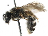  ( - 06712D02-RUS)  @11 [ ] CreativeCommons - Attribution (2016) CBG Photography Group Centre for Biodiversity Genomics