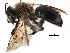  ( - 06712E05-RUS)  @14 [ ] CreativeCommons - Attribution (2016) CBG Photography Group Centre for Biodiversity Genomics