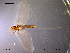  ( - NO-EPH69)  @14 [ ] CreativeCommons - Attribution Non-Commercial Share-Alike (2011) NTNU Museum of Natural History and Archaeology NTNU Museum of Natural History and Archaeology