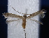  ( - AK553)  @14 [ ] CreativeCommons - Attribution Non-Commercial Share-Alike (2015) Atsushi Kawakita Kyoto University