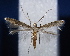  ( - AK555)  @14 [ ] CreativeCommons - Attribution Non-Commercial Share-Alike (2015) Atsushi Kawakita Kyoto University