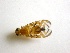  ( - EPMF127)  @12 [ ] Copyright (2012) Unspecified ECOSUR