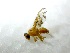  ( - Sample-EPMF26)  @12 [ ] Unspecified (default): All Rights Reserved  A. Oropeza Unspecified