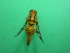  ( - Sample-EPMF49)  @12 [ ] Unspecified (default): All Rights Reserved  Unspecified Unspecified