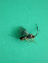  ( - Sample-EPMF74)  @11 [ ] Unspecified (default): All Rights Reserved  Unspecified Unspecified