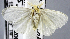  ( - USNM ENT 00660463)  @11 [ ] Unspecified (default): All Rights Reserved  Unspecified Unspecified