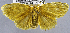  ( - USNM ENT 00700930)  @11 [ ] Unspecified (default): All Rights Reserved  Unspecified Unspecified