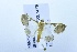  ( - USNM ENT 00719391)  @12 [ ] Unspecified (default): All Rights Reserved  Unspecified Unspecified