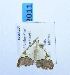  ( - USNM ENT 00719535)  @13 [ ] Unspecified (default): All Rights Reserved  Unspecified Unspecified
