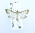  ( - USNM ENT 00719539)  @13 [ ] Unspecified (default): All Rights Reserved  Unspecified Unspecified