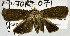 ( - USNM ENT 00931815)  @11 [ ] Unspecified (default): All Rights Reserved  Unspecified Unspecified