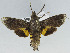  ( - USNM ENT 00931823)  @11 [ ] Unspecified (default): All Rights Reserved  Unspecified Unspecified
