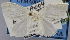  ( - USNM ENT 00933792a)  @11 [ ] Unspecified (default): All Rights Reserved  Unspecified Unspecified