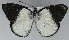  ( - USNM ENT 01012380)  @11 [ ] Unspecified (default): All Rights Reserved  Unspecified Unspecified